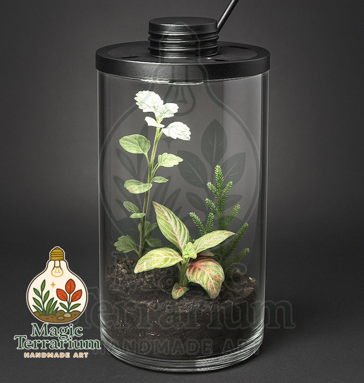 🌿 Terrarium – הגליל האלגנטי 🌿