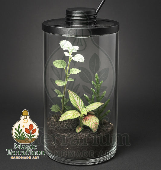 🌿 Terrarium – הגליל האלגנטי 🌿