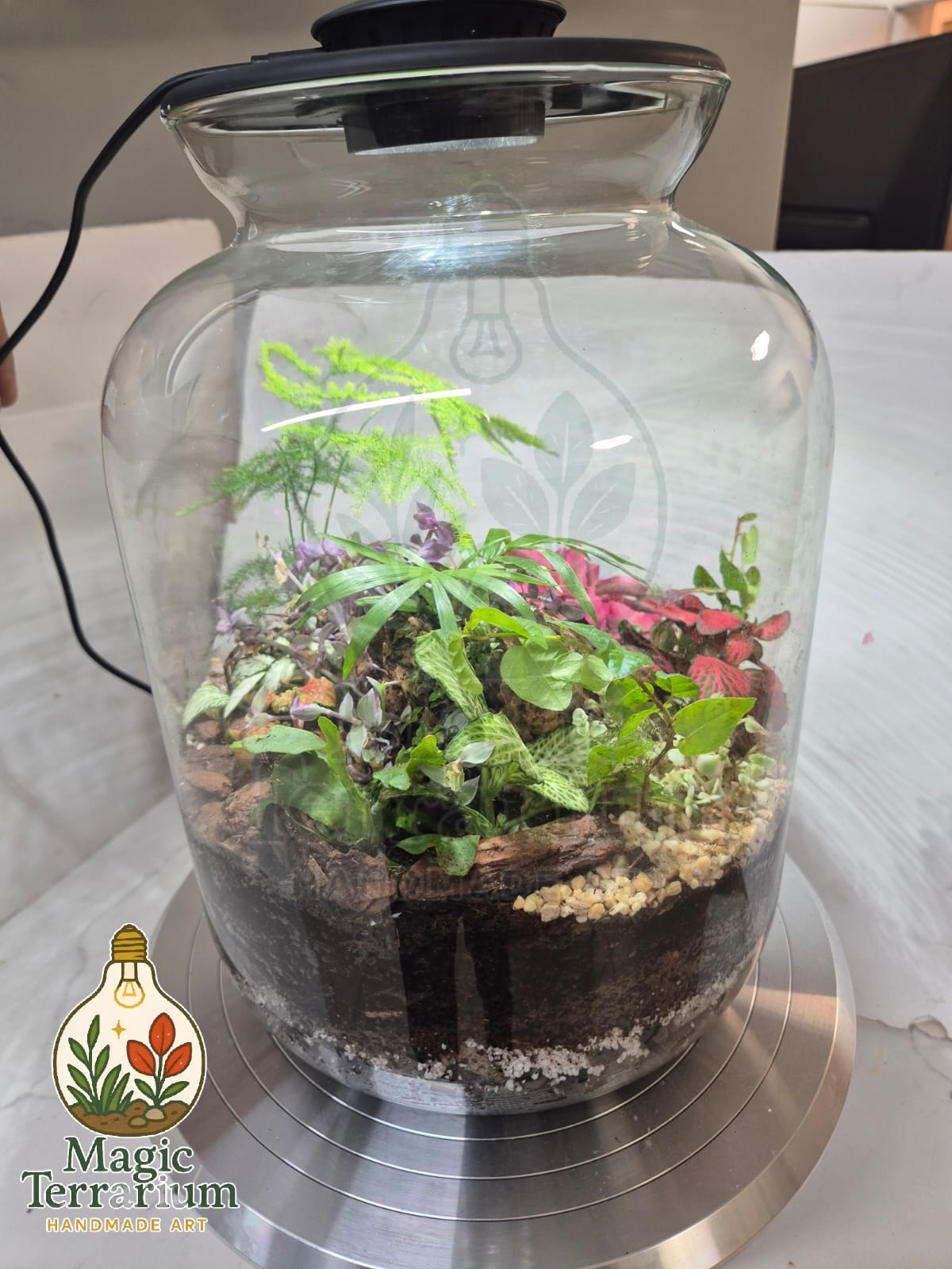 šæ Terrarium ā ××××× ××§×”×× šæ