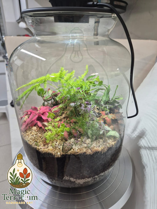 🌿 Terrarium – הגדול הקסום 🌿