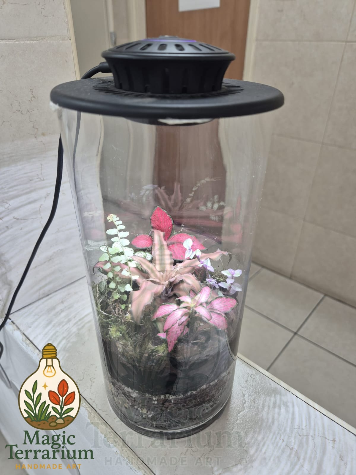 šæ Terrarium ā ××××× ××××× ×× šæ