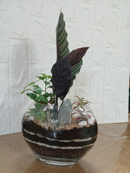 Nature Ellipse – אליפסת הטבע הקסומה