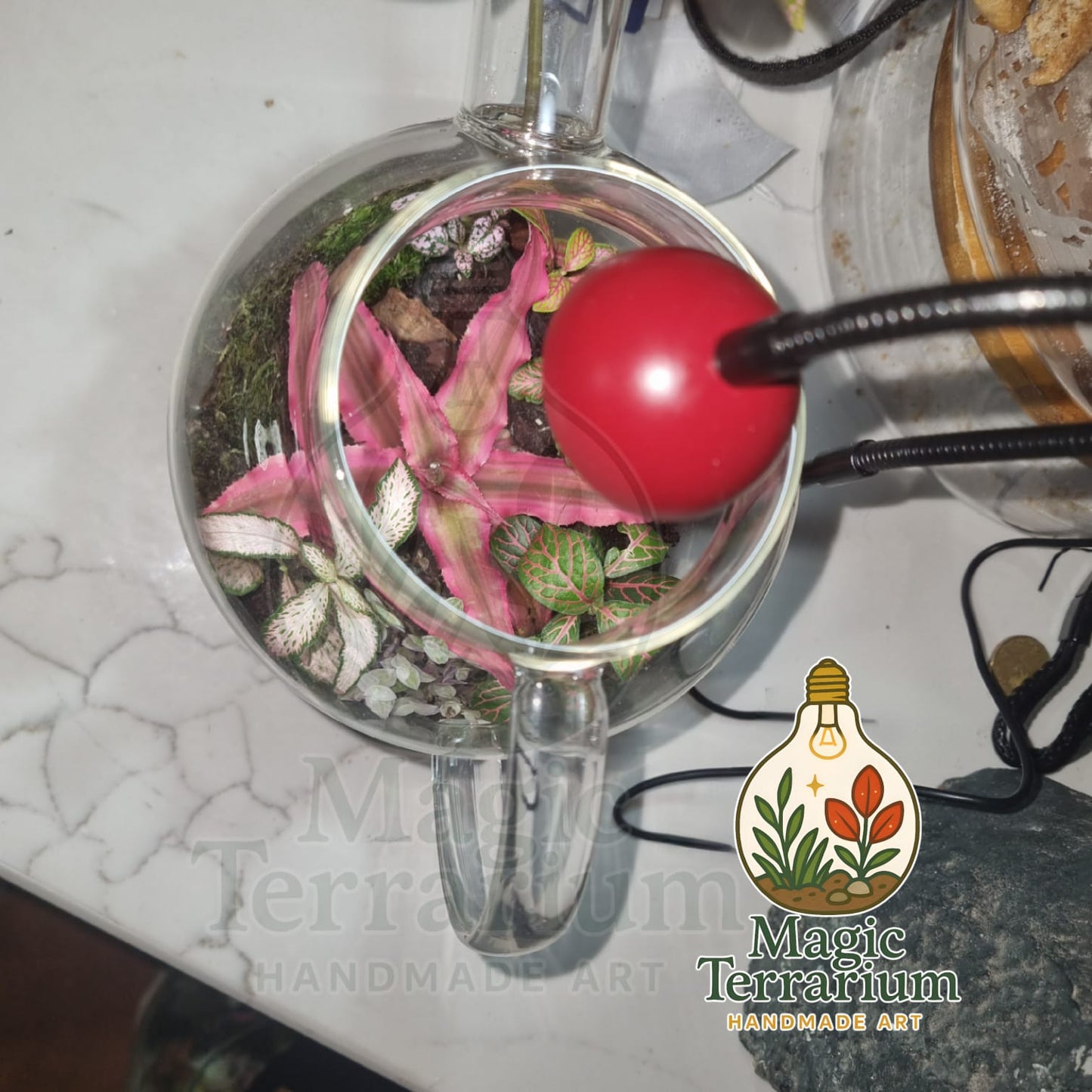 🍃 Terrarium – הקומקום הקסום 🍃
