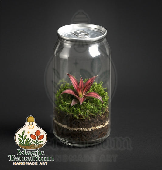 🌿 טרריום פחית – גרסה קומפקטית, מעוצבת ומפתיעה 🌿
