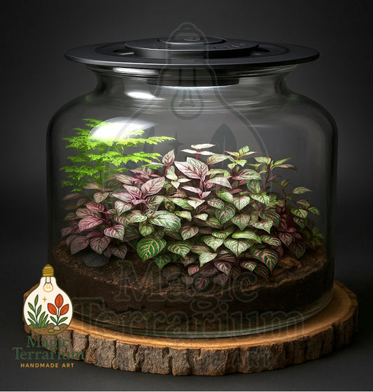 🌿 Terrarium – הגדול הקסום 🌿
