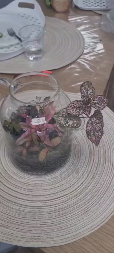 🍃 Terrarium – הקומקום הקסום 🍃