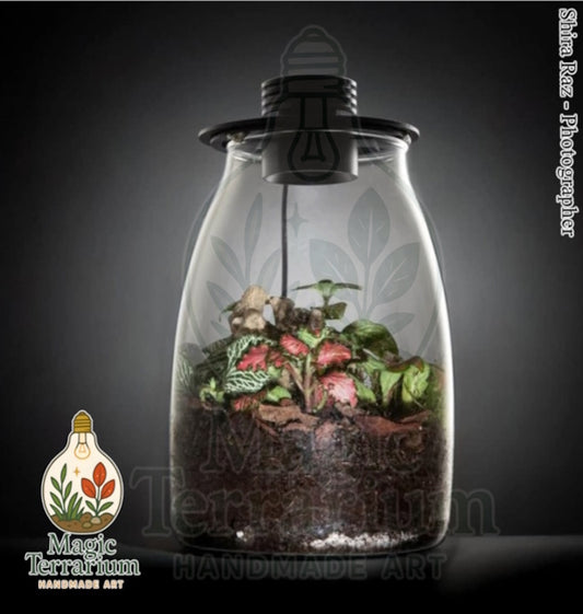 🌿 Terrarium – Magic | בסיס הקסם הטבעי 🌿