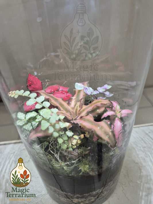 🌿 Terrarium – הגליל האלגנטי 🌿