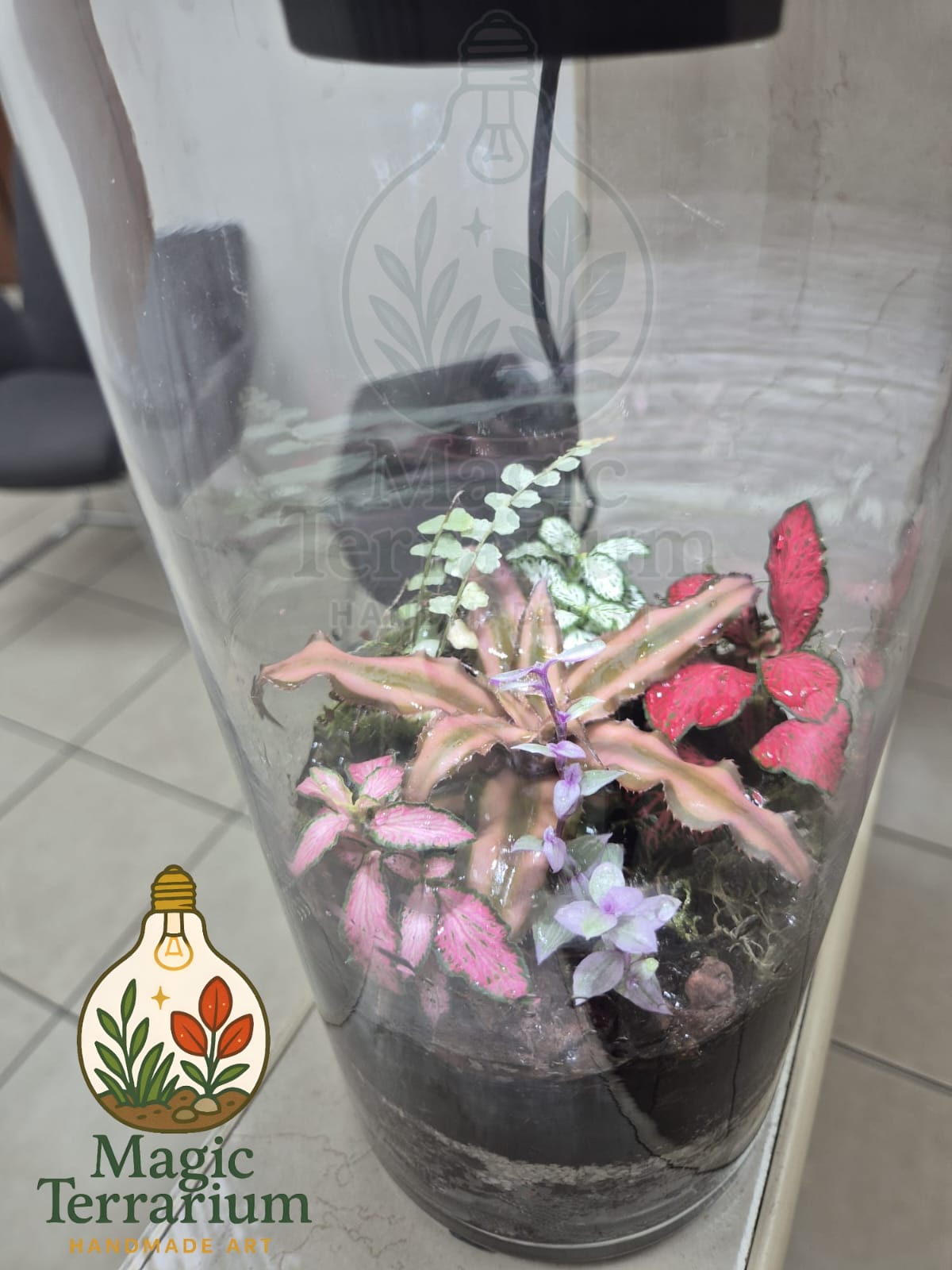 🌿 Terrarium – הגליל האלגנטי 🌿