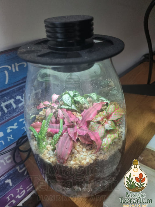 🌿 Terrarium – Magic | בסיס הקסם הטבעי 🌿