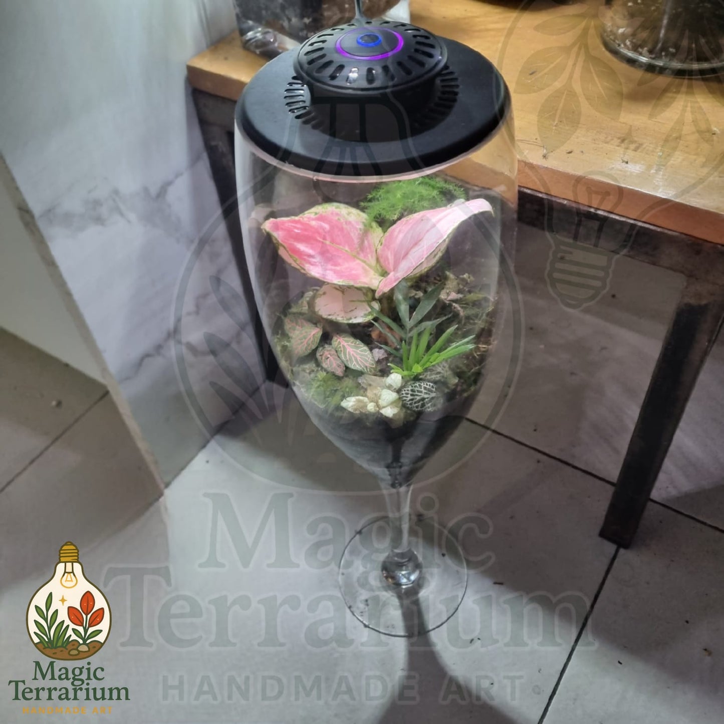 🍷 Terrarium – גביע הטבע 🍷