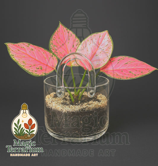 👜 Terrarium – תיק הטבע 👜