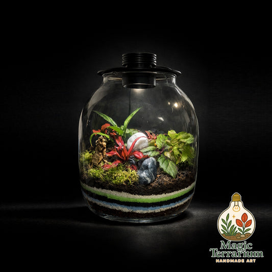 🌿 The Capsule – הקפסולה